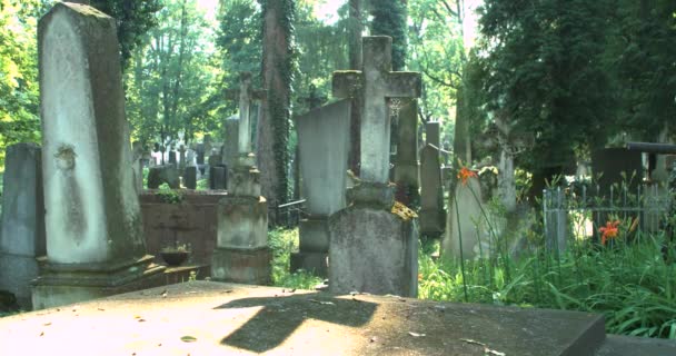 Историческое кладбище. Надгробия и деревья на старом кладбище — стоковое видео