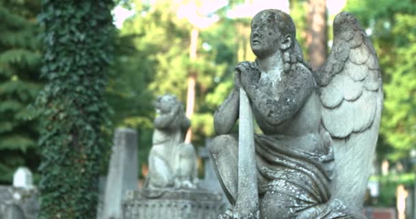 Lápida en forma de ángel con una cruz en las manos sobre la tumba en el cementerio. Antigua figura de piedra en el cementerio — Vídeos de Stock