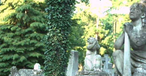 Escultura magnífica de uma estátua de anjo fêmea no cemitério. Estátua de pedra no antigo cemitério Lviv, Ucrânia — Vídeo de Stock