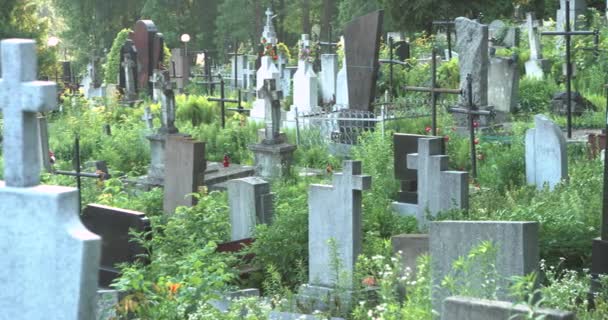 历史墓地。旧坟场里的许多墓碑和十字架 — 图库视频影像
