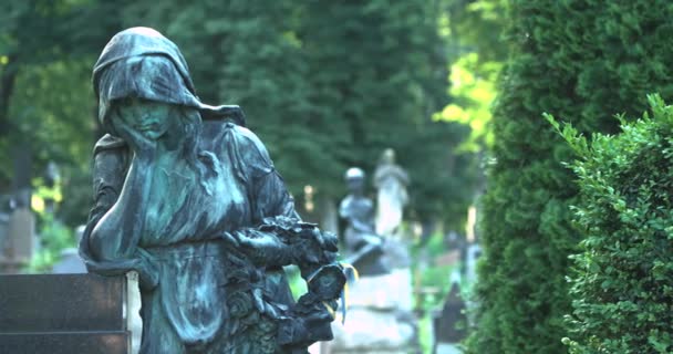 Lviv, Ukraine, lychakiv Cemetery, historic cemetery with many architectural monuments of 18-20 centuries and graves of cultural and scientific figures of Ukraine and Poland. — Stock Video