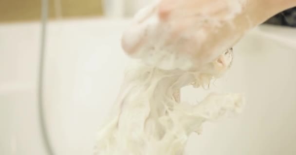 Frau wäscht kleinen weißen maltesischen Hund in großer Badewanne — Stockvideo