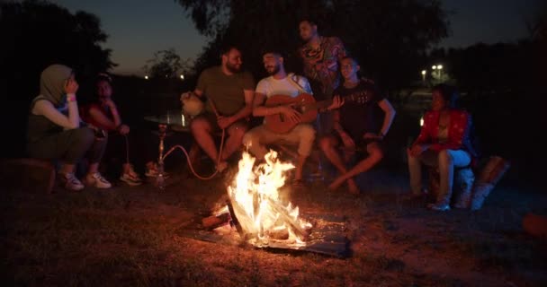 ギターを弾きながら歌を歌いながら火のそばに座っている外国人の友達のグループ。犬は男の隣のベンチに座っている。フカ. — ストック動画