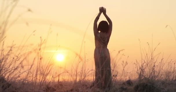 Rückansicht. Sonnenuntergang. Auf dem Boden steht ein Mädchen in einem langen Kleid mit Schlangenprint und kurzen dunklen Haaren. sie hob die Hände und blickte in die Sonne — Stockvideo