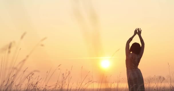 Gyönyörű naplemente. egy szexuálisan megható lány sziluettje. Egy lány áll a nap felé, háttal a kamerának. narancssárga ég — Stock videók