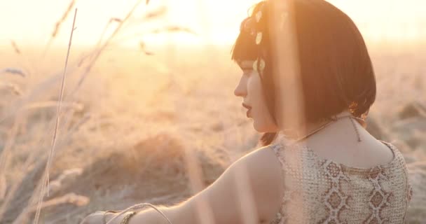 Perfil de mujer hermosa sentada en hierba seca y espiguillas. el sol brilla — Vídeos de Stock