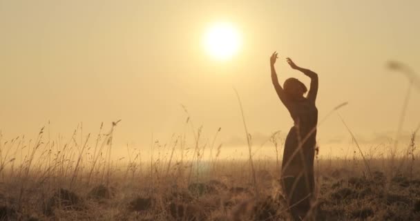 女孩在大自然中悠闲自在地欣赏田野上美丽的日落风景.日落时看着太阳的女人在想生活.冥想和沉思的概念 — 图库视频影像