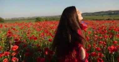 Elinde bir buket haşhaş olan kırmızı benekli elbiseli esmer bir kadının videosu. Haşhaş tarlasının ortasında daireler çizen ve eğlenen hoş bir kadın. 4K video.