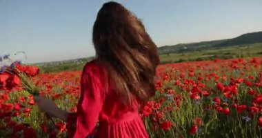 Elinde bir buket haşhaş olan kırmızı benekli elbiseli esmer bir kadının videosu. Haşhaş tarlasının ortasında daireler çizen ve eğlenen hoş bir kadın. 4K video.