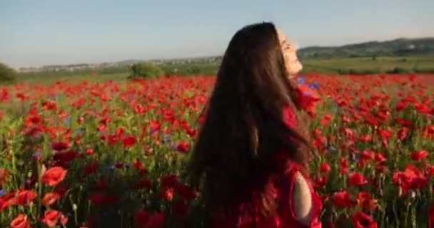 Video mladé brunetky v červených puntíkových šatech s kyticí máku v rukou. Okouzlující dáma krouží a baví se uprostřed makového pole. Video 4K. — Stock video