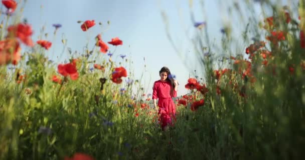 Le riprese dal basso di una giovane donna bruna in un abito rosso a pois cammina con bouquet nel mezzo del campo dei papaveri. Giornata soleggiata e atmosfera rilassata. Video 4K. — Video Stock