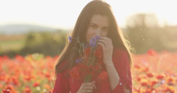 Mujer sonriente en medio del campo de amapolas al atardecer. Joven morena vestida con un vestido de lunares rojos está oliendo ramo de amapolas. Día de verano y ambiente tranquilo. Vídeo 4K. — Vídeo de stock