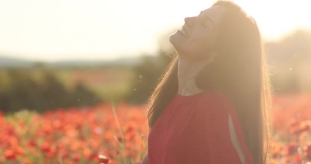 Bellezza portret di incredibile bruna donna in cerchio e divertirsi nel campo di papaveri al tramonto. Affascinante signora con un sorriso incredibile in un abito rosso a pois agghiacciante all'aperto. Video 4K. — Video Stock