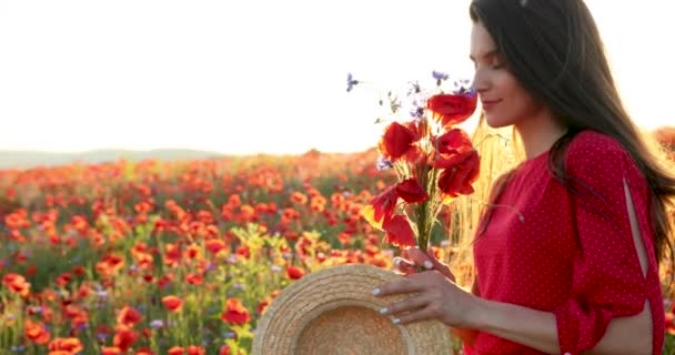 ผู้หญิงสวยได้กลิ่นดอกไม้ ในทุ่งดอกไม้สีแดง หญิงสาวที่สวยงามที่มีรอยยิ้มที่มีเสน่ห์มีดอกไม้ในมือในสนาม มุมมองภาพ 4K . — วีดีโอสต็อก