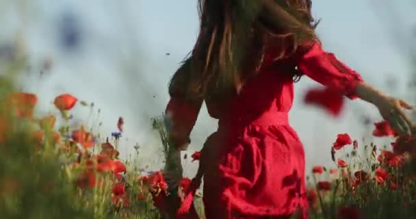 きれいな女性は花の赤いフィールドで実行され、彼女の手のケシに触れます。チャーミングな笑顔の若い美しい女性。肖像画。4K 。美しい風景 — ストック動画
