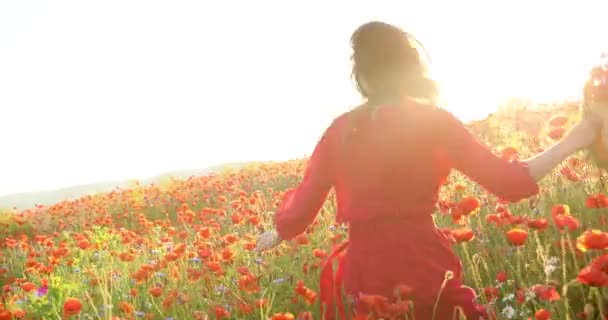 Неймовірна брюнетка жінка кружляє і веселиться через макове поле. Чарівна леді в червоній точковій сукні з букетом маків в руках. відео 4K . — стокове відео