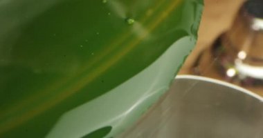 Yakın plan yeşil kokteyl bir karıştırıcıya dökülür..