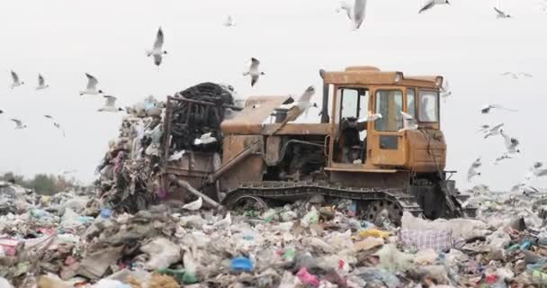 Landfill with bulldozer working, against beautiful blue sky full of sea birds. Great for environment and ecological themes. — Stock Video