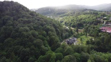 Güzel Karpat Dağları 'nın havadan görünüşü, orman, dağ nehri, dağ kasabası. Dağların üstünde sis var. Doğanın güzelliği