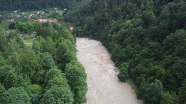 Ukrayna 'da sağanak yağmurdan sonra nehir sular altında kalır. Uzun yağmurlardan sonra nehir Noel ağaçlarıyla iki nehir arasında akar.