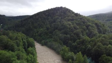 Karpatların olağanüstü güzelliği. Dağlar ağaçlar ve bir dağ nehri ile kaplıdır. hava görünümü
