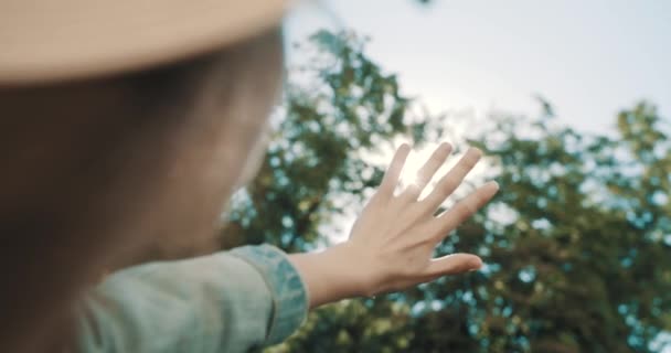 El sol brilla a través de la mano de las mujeres mientras ella lo sostiene entre hojas verdes en el bosque — Vídeos de Stock
