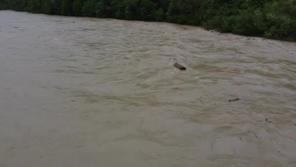 Primer plano de agua sucia del río con fuerte corriente. un enorme tronco de madera en el río durante la inundación — Vídeos de Stock