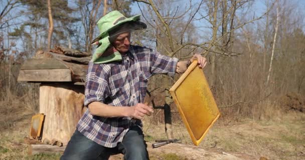 Beekeper trabaja coleccionando miel en apiary. Hermoso día soleado. Concepto apícola — Vídeo de stock