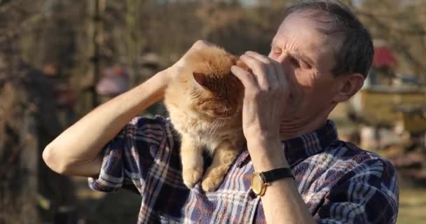Gato rojo en el hombro de un hombre mayor. gato se sienta sobre los hombros de un anciano. campo — Vídeos de Stock