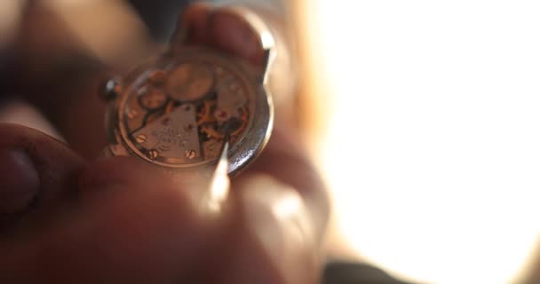 Mechanism of old watch closeup. Vintage classic watch mechanism, A pair of mechanical watch, Wristwatches movements close up — Stock Video