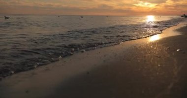 Gün batımında deniz dalgaları. Martılar sahilde oturur..
