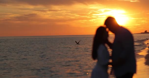 Silhouette d'un couple amoureux sur fond de magnifique coucher de soleil. Coucher de soleil sur la plage. Vol en mouette. — Video