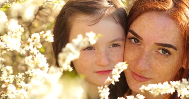 Сімейний портрет молодої матері та дочки. руда мама і дочка з веснянками на обличчі, біля квітучого дерева навесні — стокове відео