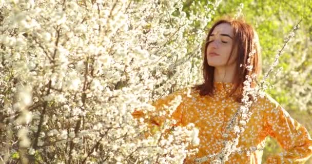 Parktaki çiçek açan ağacın yanındaki güzel kızıl saçlı kız portresi. Gençlik ve doğal güzellik kavramı. Genç kız baharda bahçede kiraz çiçeklerinin kokusunu alır. Kadın ve bahar doğası, doğal, hayır. — Stok video