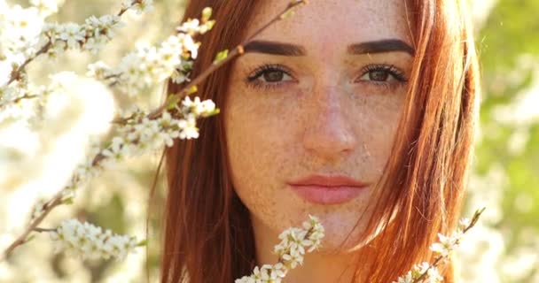Młoda, piękna ruda kobieta w kwitnącym ogrodzie migdałów. atrakcyjna dziewczyna z rudymi włosami i wieloma piegami na twarzy — Wideo stockowe