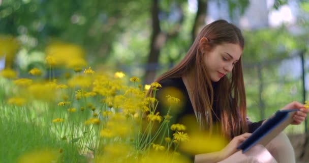 Attraente ragazza bionda con il fiore è sms e navigare in rete tramite il tablet, ordinare i capelli e godersi la natura sull'erba coperta di fiori gialli in fiore. — Video Stock