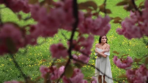 Atrakcyjna brunetka w białej sukience z długimi włosami stoi obok drzewa sakura z różowymi kwiatami. — Wideo stockowe