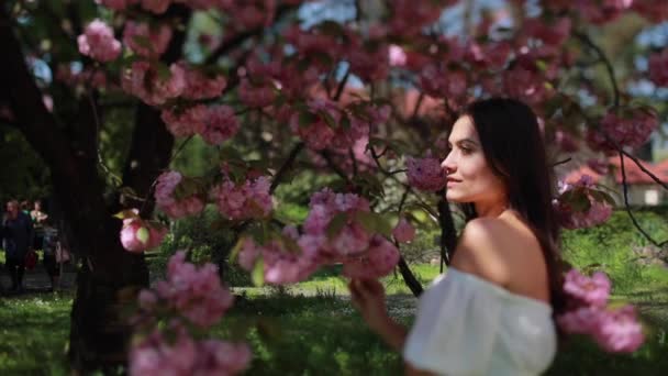 Bardzo atrakcyjna kobieta stoi blisko gałęzi kwitnącego drzewa sakura. — Wideo stockowe