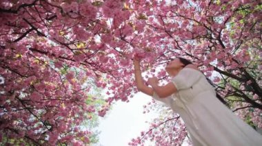 Uzun saçlı çekici genç esmer kadın ağaçtaki pembe sakura çiçeklerine hayran ve dokunuyor.