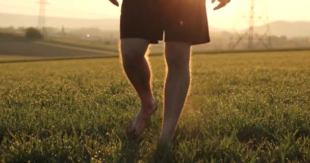 El hombre barbudo con ropa negra camina descalzo sobre la hierba verde de la mañana con rocío durante el amanecer. Cerrar el disparo de las piernas de los hombres en la hierba. — Vídeo de stock