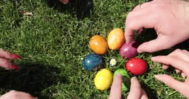 Coloridos huevos de Pascua yacen alrededor de flores florecientes en el jardín, las manos de la gente se los llevan. Caza de huevos de Pascua. Fondo concepto Pascua. — Vídeo de stock