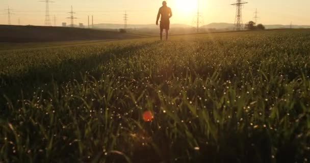 El hombre calvo barbudo con ropa negra camina descalzo sobre la hierba verde de la mañana con rocío durante el amanecer. El hombre camina en el campo. — Vídeo de stock