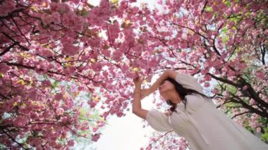 Uzun saçlı çekici genç kadın ağaçtaki sakura çiçeklerine hayran..