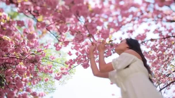 En attraktiv flicka med vackert långt mörkt hår står under ett otroligt vackert sakura träd. — Stockvideo