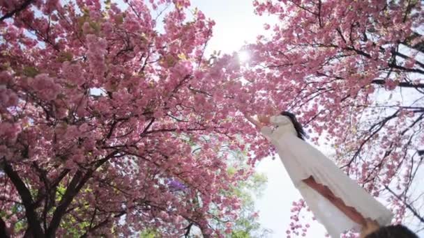 Gyönyörű fiatal nő hosszú, sötét hajú fehér ruhában áll egy virágzó sakura fa mellett. — Stock videók