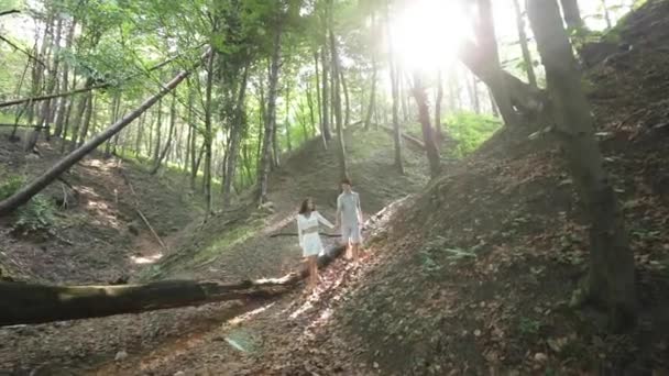 Young couple walking in the woods holding hands. — Stock Video