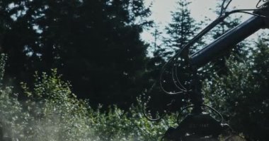 Ormanda odun topluyorum. Ağır makineler ahşap malzemelerle ilgilenir. Ahşap yığını. Ahşap ürünleri üretimi. Ormanların tahrip edilmesi.