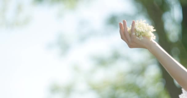 Женщина держит в руке крошечные полевые цветы. Без лица, природы, летнего настроения — стоковое видео