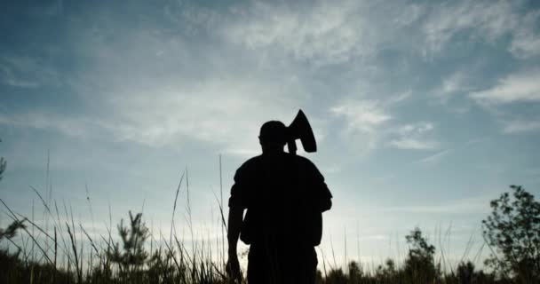 Silhouette eines Holzfällers mit einer Axt auf der Schulter, der sich vor einem schönen Abendhimmel einem trockenen Baum nähert — Stockvideo