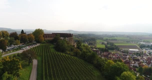 Flying Copter Beautiful Blooming Vineyards Historic Stettenfels Castle Background Weinsberg — Stockvideo